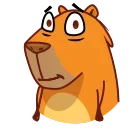 Jonny Сapybara 스티커