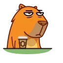 Jonny Сapybara 스티커