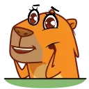 Jonny Сapybara 스티커