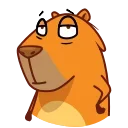 Jonny Сapybara 스티커