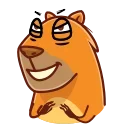 Jonny Сapybara 스티커