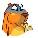 Jonny Сapybara 스티커