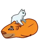 Jonny Сapybara 스티커