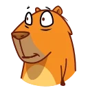 Jonny Сapybara 스티커