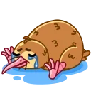 Kevin 스티커