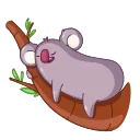 La Koala 스티커