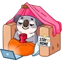 Kozy Koala 스티커