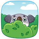 Kozy Koala 스티커