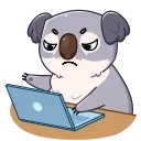 Kozy Koala 스티커
