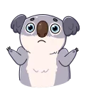 Kozy Koala 스티커