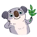 Kozy Koala 스티커
