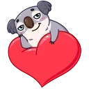 Kozy Koala 스티커