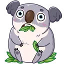 Kozy Koala 스티커