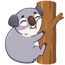 Kozy Koala 스티커