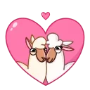Lama 스티커