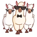 Lama 스티커