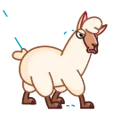 Lama 스티커