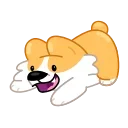 Corgi Life 스티커