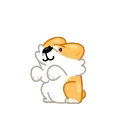 Corgi Life 스티커