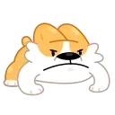 Corgi Life 스티커
