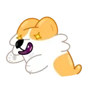 Corgi Life 스티커
