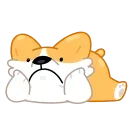 Corgi Life 스티커