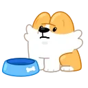 Corgi Life 스티커