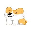 Corgi Life 스티커