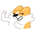 Corgi Life 스티커