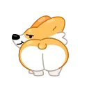 Corgi Life 스티커