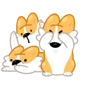 Corgi Life 스티커