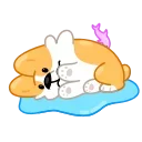 Corgi Life 스티커