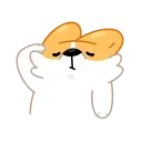 Corgi Life 스티커