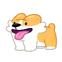 Corgi Life 스티커