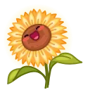 Live Flowers 스티커