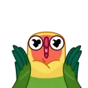 Love Birds 스티커