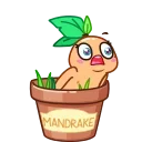 Magic Mandrake 스티커