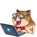 Memes With Cats 스티커