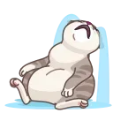 Memes With Cats 스티커