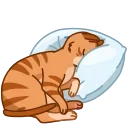 Memes With Cats 스티커
