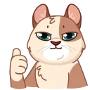 Memes With Cats 스티커