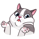 Memes With Cats 스티커