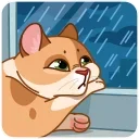 Memes With Cats 스티커