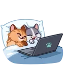 Memes With Cats 스티커