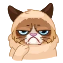 Memes With Cats 스티커