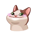 Memes With Cats 스티커