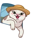 Memes With Cats 스티커