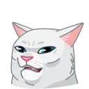 Memes With Cats 스티커