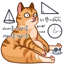 Memes With Cats 스티커