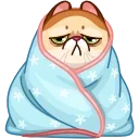 Memes With Cats 스티커